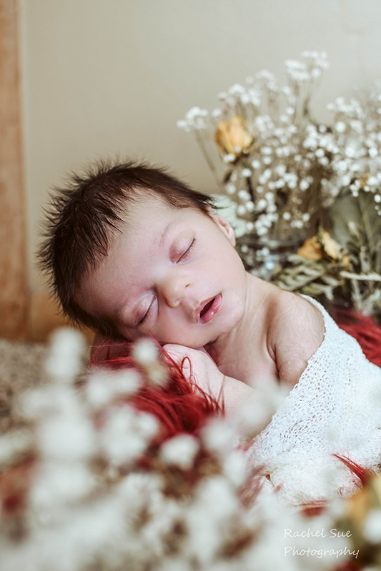 newborn photograph by rachel sue boehm