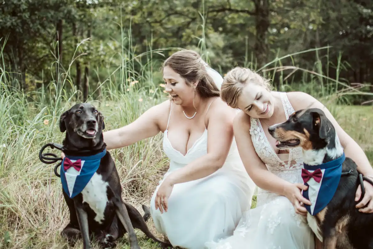 Two brides stroke their tuxedo-wearing dogs